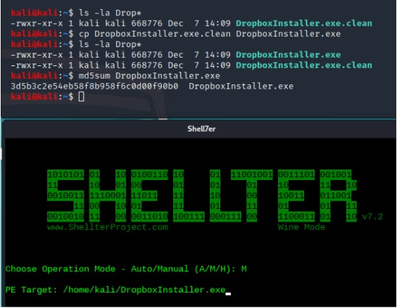 Утилита Shellter: Подготовка и настройка shelltera вручную. Сравнение ручного и auto режима по тестам